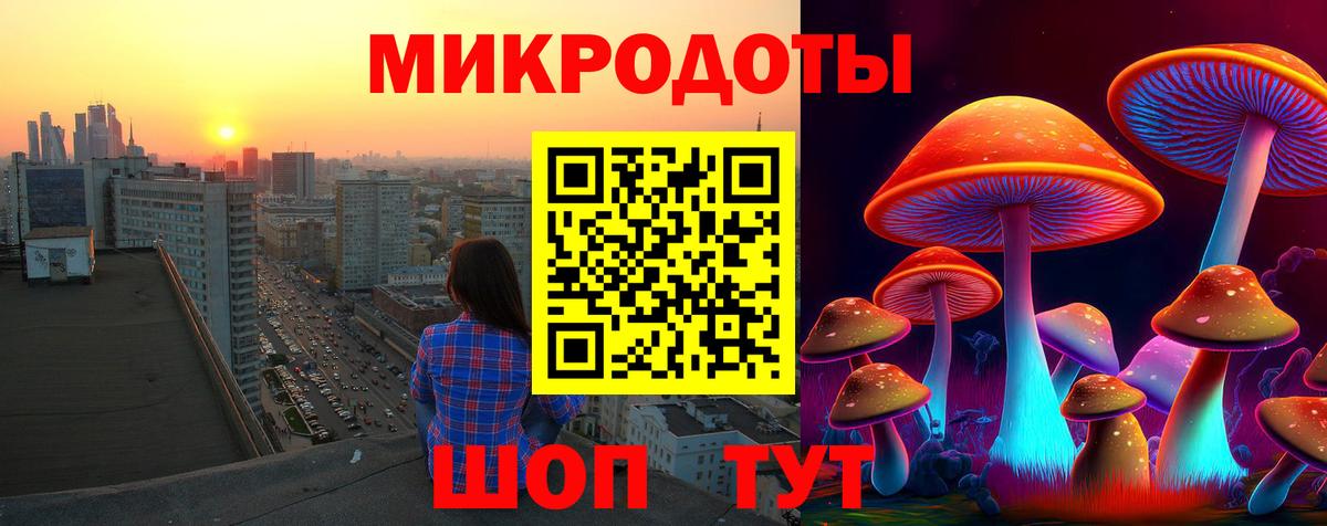 Электросталь  Псилоцибиновые грибы мицелий  Вход с VPN 